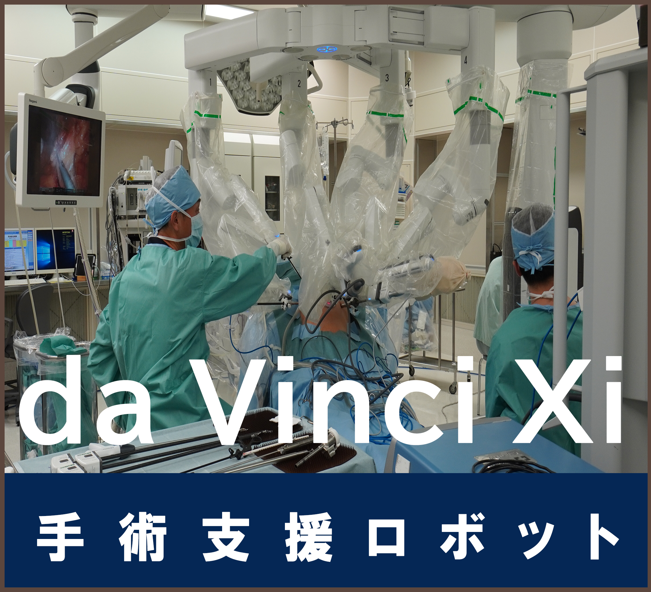 ダヴィンチ導入