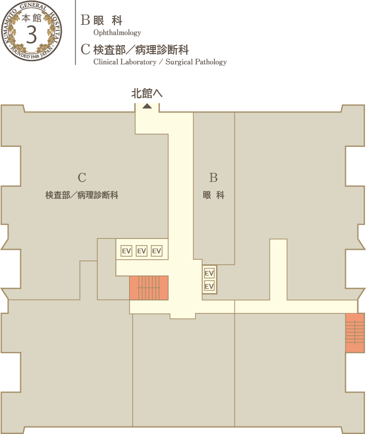 huroa3